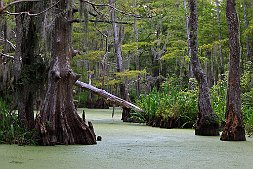 _MG_2197