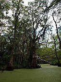 _MG_2200