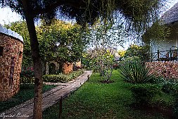 _MG_9261-456