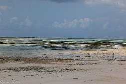 _MG_9274-457