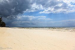 _MG_9276-458