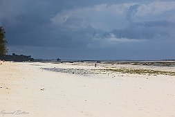 _MG_9277-459