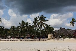 _MG_9282-460