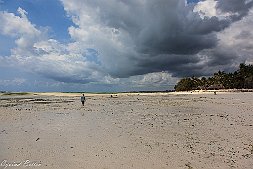_MG_9283-461