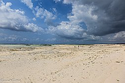_MG_9286-462