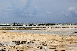 _MG_9295-463