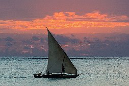 _MG_9327-538