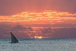 _MG_9342-544