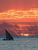 _MG_9345-539
