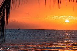 _MG_9374-540