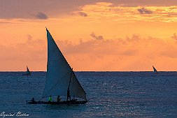 _MG_9398-543