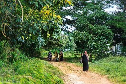 _MG_9432-545
