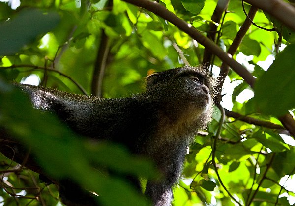 Tanzania